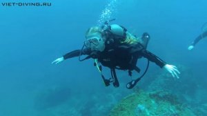 05 июня Лучший дайвинг в Нячанге