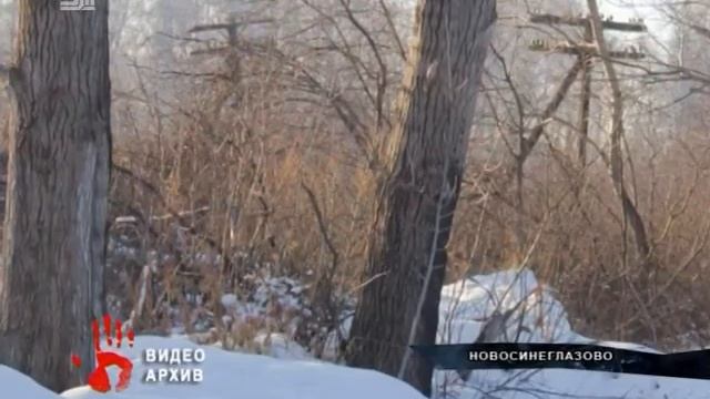 Пропавший пожилой человек найден мертвым на силикатном заводе смотреть онлайн