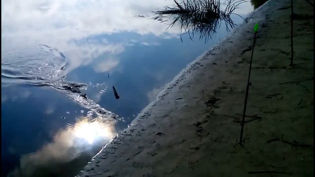 Рыбалка на реке Десна. Fishing on the river Desna смотреть онлайн