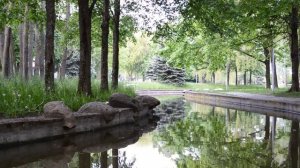 НЕОСТОРОЖНОЕ СЛОВО РАЗОБЛАЧИЛО ЖЕНУ. Интересные истории из жизни, аудио рассказы. Жизненные истории