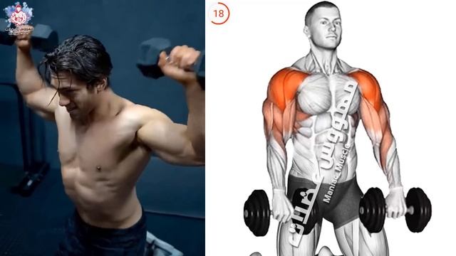 SHOULDER WORKOUT WITH DUMBBELLS ( Front Delt +Side Delt + Rear Delt)
