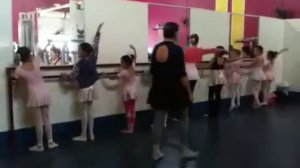 Ballet Clássico Academia Artform Juquitiba