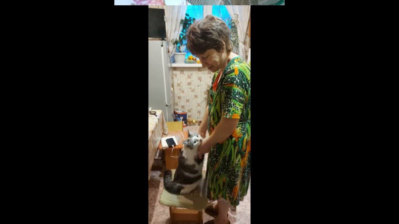 СВЕТА И ВАНЕЧКА! смотреть онлайн