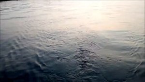 Клип   Я наконец то всем доволен