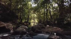 Медитация "Из зависти в восхищение" | Эмоциональное освобождение | Практика сорадования