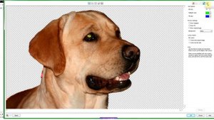 Background Removal in CorelDraw/Corel Photo Paint