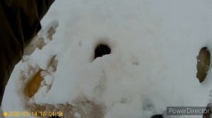 ОГРОМНАЯ ВЕСЕННЯЯ СОРОГА !  ЗИМНЯЯ РЫБАЛКА ЕТЫПУР 2020 !ОТЛИЧНЫЙ КЛЁВ СОРОГИ! РЫБАЛКА НА ЯМАЛЕ!