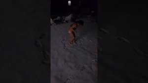 Закаливание перед сном. босиком по снегу