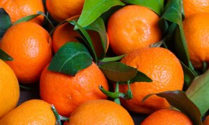 Мандариновая настойка - ликер.MOV