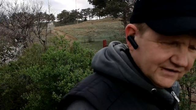 БИЗНЕС НА РАЗВЛЕЧЕНИЯХ И ЗАГОРОДНОМ ОТДЫХЕ| МОЙ ОПЫТ И ИДЕИ БИЗНЕСА | MASTER CAMP смотреть онлайн