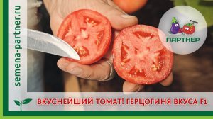 ВКУСНЕЙШИЙ ТОМАТ! ГЕРЦОГИНЯ ВКУСА F1
