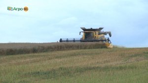 Демонстрационна жътва с комбайн New Holland CR 9.90 в с. Козловец
