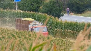 Mokré kukurične siláže v kopci  [ Claas Jaguar 860, JCB, Tatra a 3x Case IH ] 2018