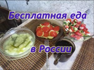 Бесплатная еда в России