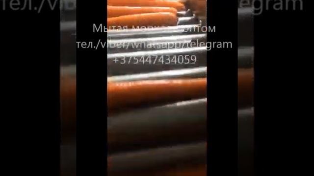 Мытая морковь оптом. смотреть онлайн