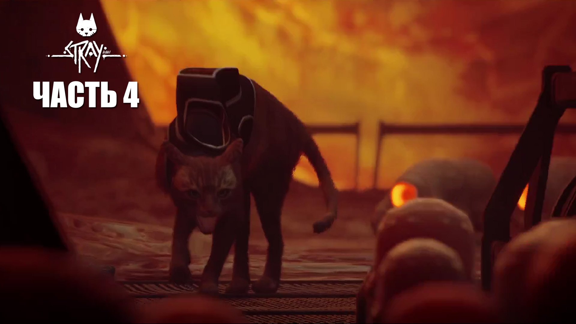 Прохождение STRAY от Наталии Himera. Часть 4.