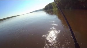 КРУПНЫЙ ОКУНЬ НА ОТВОДНОЙ ПОВОДОК И ГИРЛЯНДУ Ловля окуня, судака,берша Рыбалка на Оке