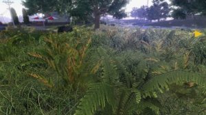 Фермерская  династия  #29  Хитрая  Жанет .     FARMERS  DYNASTY