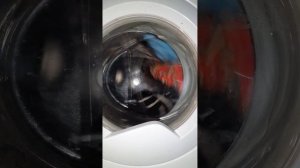 washing machine indesit iwsc 51051