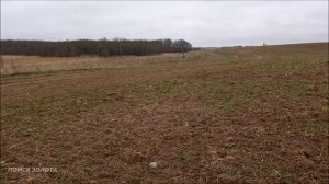 СТАРИННАЯ ДОРОГА / НАЙДЕН ГРИВЕННИК ЕКАТЕРИНЫ 2 / ПОИСК С МЕТАЛЛОИСКАТЕЛЕМ
