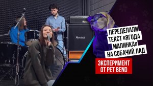 Хабиб "Ягода малинка" cover by PET BAND