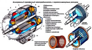 Электрические машины. Особенности эксплуатации асинхронных двигателей.