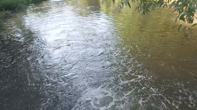 Река Рожайка в микрорайоне Константиново Домодедовского городского округа (24.07.22) смотреть онлайн