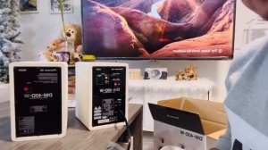 Pioneer DJ DM-40D-W 4-inch Active Monitor Speaker - Desktop Monitor System - White | UNBOXING