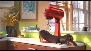 The Secret Life of Pets Official Trailer #1 (2016) Louis C.K. Animated Movie HD
