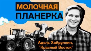 Адель Хайруллин, «Красный Восток»: как развивается крупнейший производитель молока Татарстана