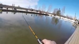 Петряиха Рыбалка на форель