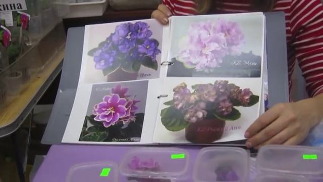 Встречи в ДФ. Ирина Заикина смотреть онлайн