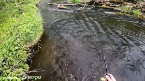 Рыбалка на воблеры "Тибо" и "Локи". 
Илья Deever.