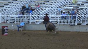 Lucky Dog Productions Memphis, TN Thursday Futurity Cody Kessler on PA Lion Under Oathe - 16.058