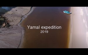 Yamal dendrochronological expedition 2019