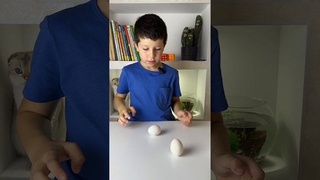 Как отделить вареные яйца от сырых, не разбивая их? #эксперимент #экспериментыдлядетей