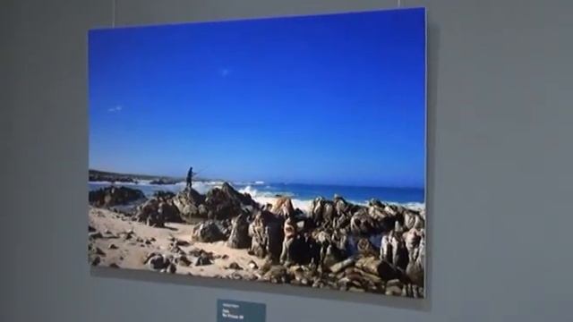 Домашняя картинная галерея на выставке фоторабот Александра Ремесло смотреть онлайн