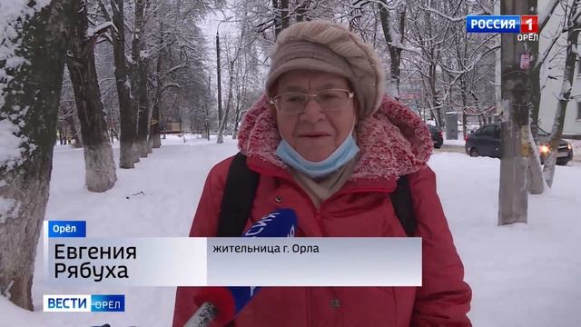 Орловщина в снежном плену