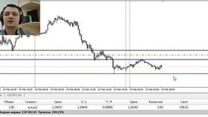 Обзор Форекс на 19 февраля. Мои реальные сделки онлайн. Профит +10%. Антон Рожновский