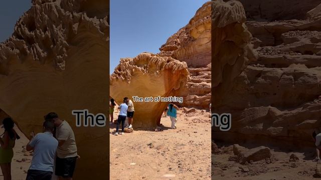 Красота вокруг нас смотреть онлайн