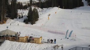 Что положить в муку, чтобы уберечь ее от жучков?