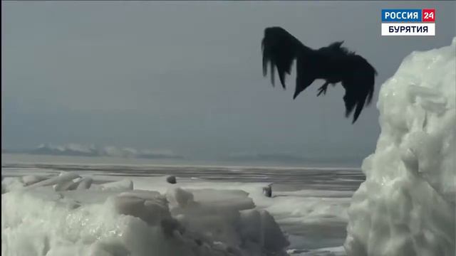 В Улан-Удэ состоялась презентация фильма «Байкал. Удивительные приключения Юмы» смотреть онлайн