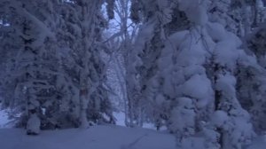 Людмила Голубцова Песня Ады Якушевой Синие сугробы