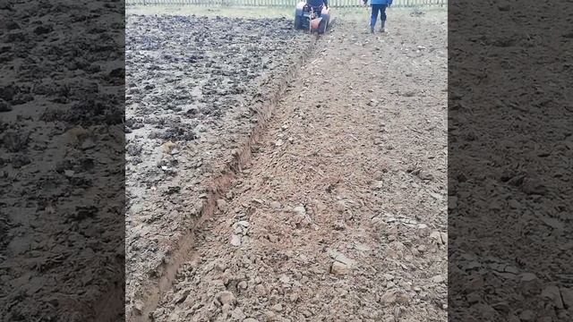 Минитрактор из мотоблока Мтз 12 смотреть онлайн