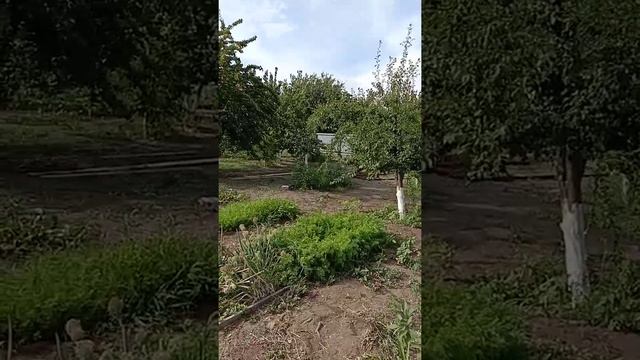 Заборы Навесы Лестницы смотреть онлайн