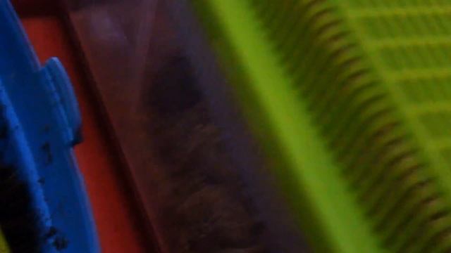 ЧЬИ ЭТО ЯЙЦА?! Змея отложила кладку яиц! смотреть онлайн