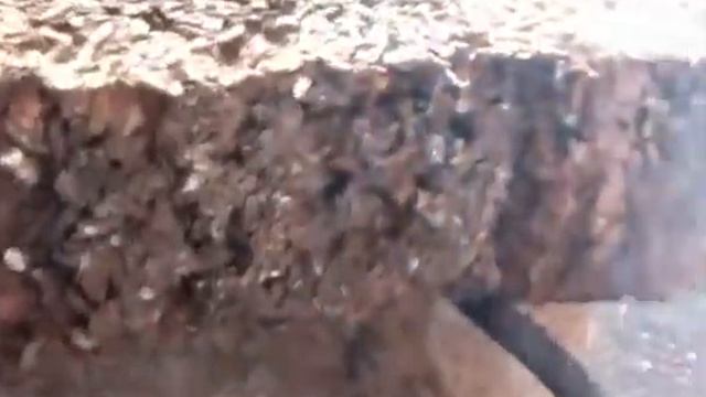 Тимфорт Испытание xvid cut смотреть онлайн