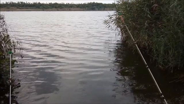 Рыбалка на Донки.Ошибка многих рыбаков при монтаже донной оснастки.Почему ловлю на леску 0,50 мм. смотреть онлайн