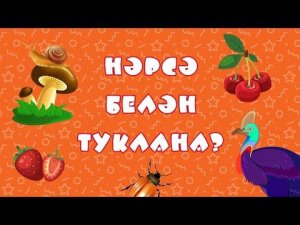 БӘБИ СҮЗ: нәрсә белән туклана? / Австралия хайваннары / Животные Австралии / Animals of Australia