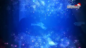 ПОЗДРАВЛЯЕТ ЮРА ХОЙ С НОВЫМ 2023 ГОДОМ!!!